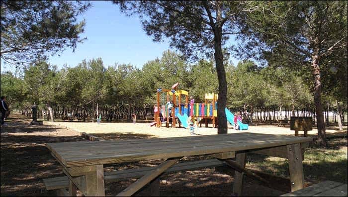 Vista del parque infantil y mesas de picnic rodeadas de árboles en un día soleado