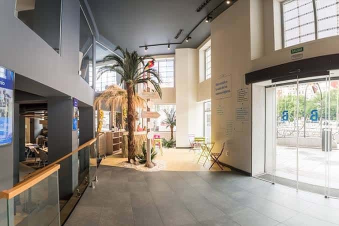 Espacio principal con palmera decorativa y zona de descanso en el lobby