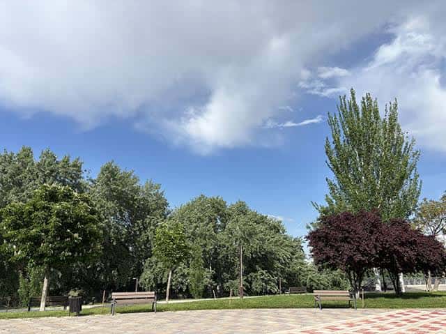 Vista panorámica del parque con césped, árboles y bancos bajo un cielo azul