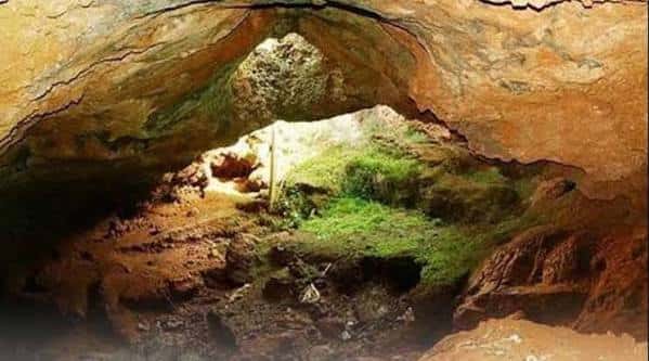 Entrada natural de la cueva con vegetación y luz solar filtrándose desde el exterior