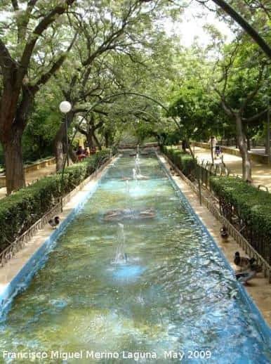 Fuente larga con agua y árboles a los lados