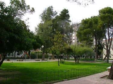 Área verde del parque con árboles y edificios al fondo