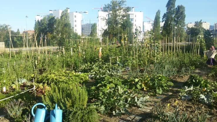 Vista panorámica de las huertas urbanas Zabalortu con parcelas cultivadas y edificios al fondo
