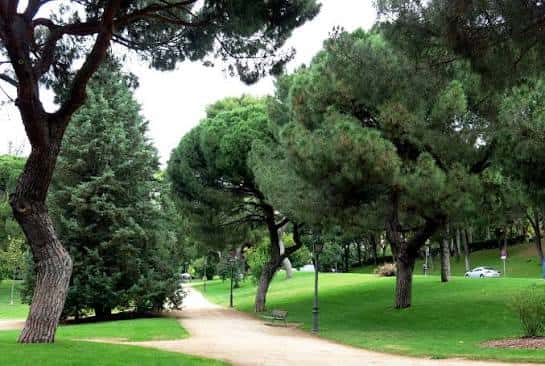 Sendero arbolado en el Parque del Oeste con césped verde y árboles maduros