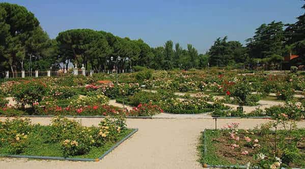Jardín de rosas con senderos de grava y flores de múltiples colores