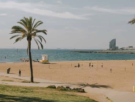 Vista panorámica de la playa con palmera y el hotel W en el fondo
