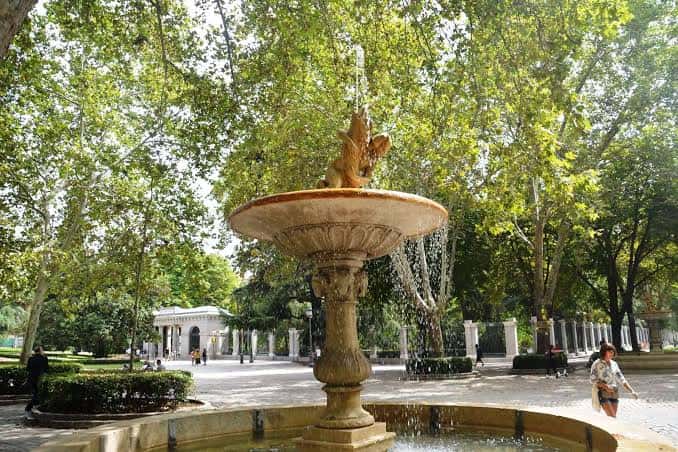 Fuente de Cibeles en el Paseo del Prado con árboles frondosos al fondo