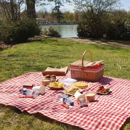 Cena campestre sobre mantel rojo y blanco junto a un lago en un entorno natural