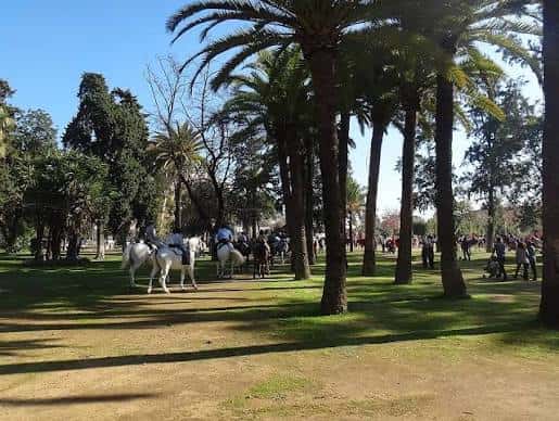 Vista del parque con palmeras y personas a caballo
