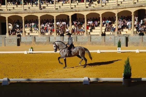 Paseo ecuestre en el interior de la plaza de toros con público en las gradas