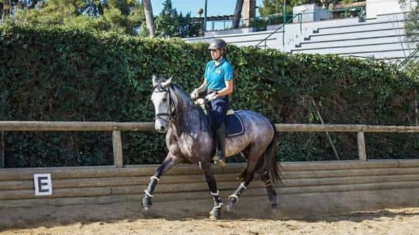 Jinete practicando doma clásica en el hipódromo al aire libre