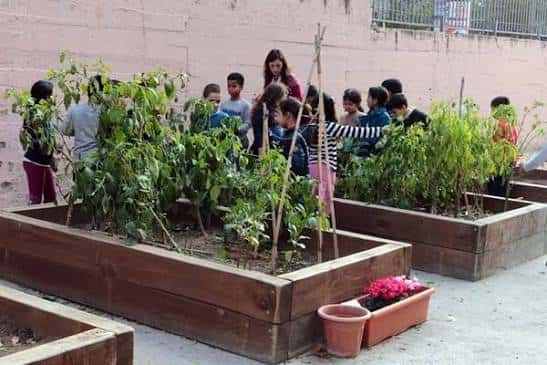 Grupo de niños participando en una actividad educativa en los huertos comunitarios