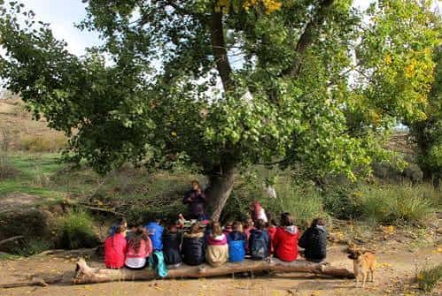 Grupo de personas realizando una actividad educativa bajo un árbol en la finca