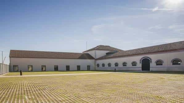 Patio exterior con pavimento de césped y fachada del edificio
