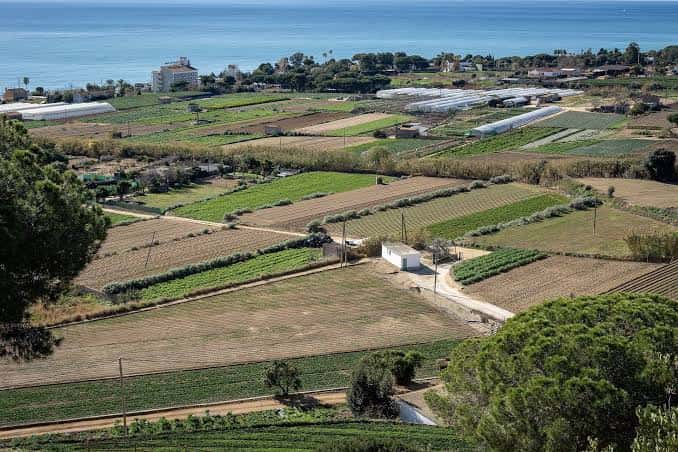 Vista panorámica de los campos agrícolas de Les Cinc Sènies con el mar Mediterráneo al fondo