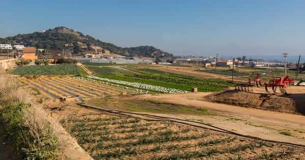 Paisaje rural de Mataró mostrando cultivos ordenados y maquinaria agrícola en primer plano