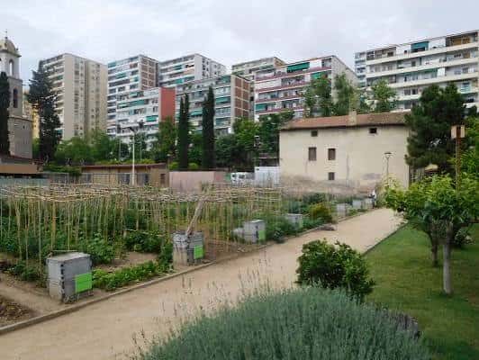 Vista panorámica del Hort Urbà Masia Can Cadena mostrando la masía histórica rodeada de huertos comunitarios y el barrio de Sant Martí al fondo