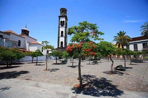 Plaza de La Concepción en Adeje con la iglesia y árboles floridos