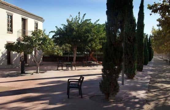 Vista del patio central con árboles y zona de descanso