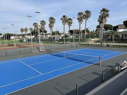 Vista de pistas de tenis azules con palmeras al fondo