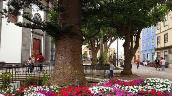 Plaza decorada con flores coloridas y grandes árboles bajo un cielo soleado