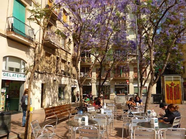 Plaza arbolada en el barrio de Gràcia con terrazas y gente disfrutando
