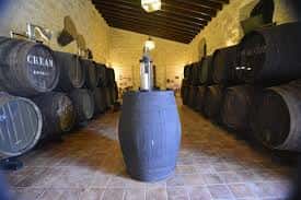 Bodega tradicional con barricas de vino alineadas en el interior