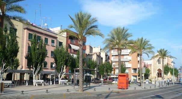 Vista panorámica de la Plaça dels Natzarens con palmeras y edificios históricos