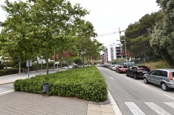 Avinguda del Primer de Maig con árboles frondosos y tráfico en un día soleado