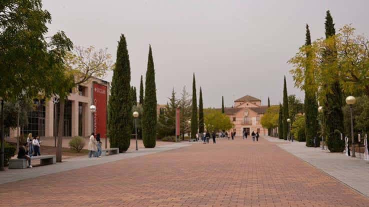 Paseo del Rectorado con árboles y personas caminando