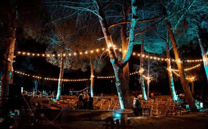 Vista nocturna del jardín con iluminación cálida entre árboles