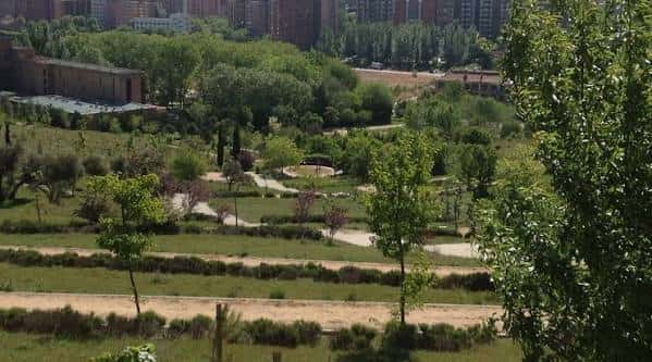 Vista panorámica del parque con senderos y zonas verdes