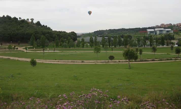 Pradera amplia con globo aerostático en el cielo