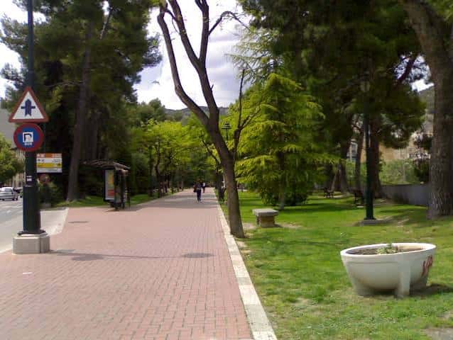 Paseo arbolado con sendero de ladrillo y zona verde