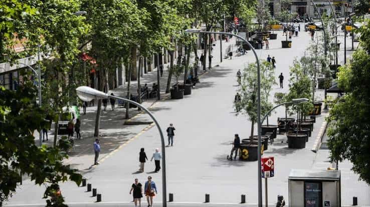 Avenida arbolada de la Ronda de Sant Antoni en un día soleado