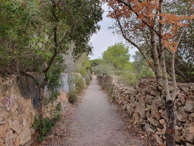 Sendero natural entre muros de piedra seca y vegetación mediterránea