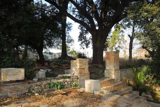 Restos arqueológicos o estructuras históricas bajo árboles frondosos
