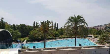 Piscina exterior con palmeras y personas disfrutando del agua en un día soleado