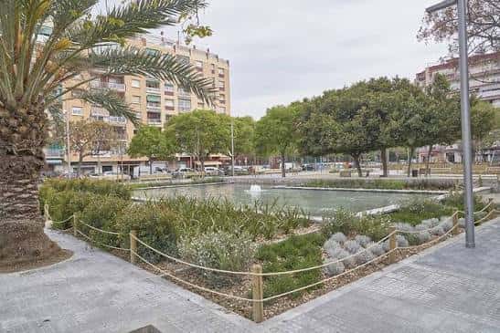 Paisajismo junto al estanque con palmeras y senderos peatonales