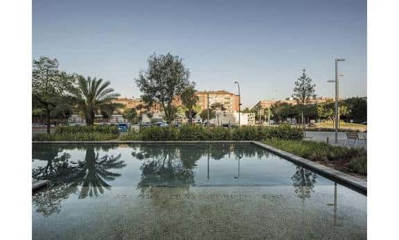 Reflejo de palmeras en el espejo de agua del jardín