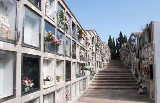 Pasillo central del cementerio con nichos decorados con flores bajo un cielo despejado