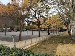 Paseo arbolado en los Jardines del Cementiri Vell con árboles de follaje otoñal