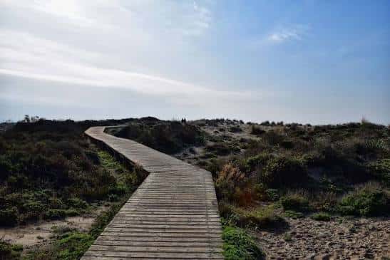 Sendero elevado de madera que atraviesa un paisaje de dunas y matorral mediterráneo
