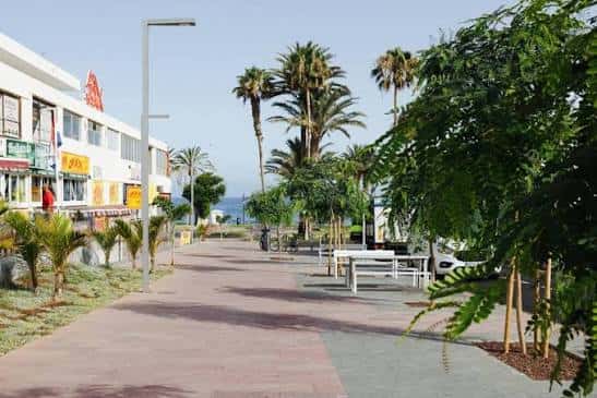 Vista diurna de la Avenida de Las Américas con palmeras y zona peatonal