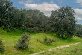Paisaje natural con senderos y vegetación mediterránea de la finca
