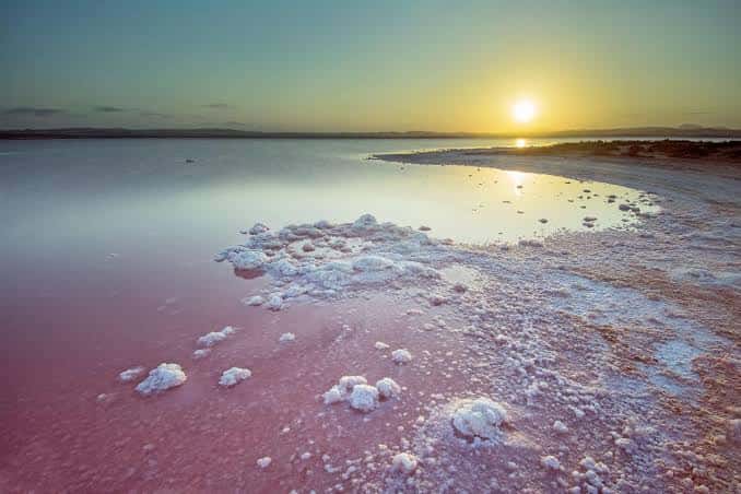 Puesta de sol sobre la laguna rosada con cristales de sal en primer plano