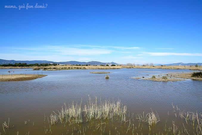 Vista panorámica de los humedales del Espai Natural Remolar-Filipines bajo un cielo despejado
