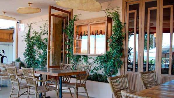 Interior acogedor del restaurante con decoración de plantas y mobiliario rústico