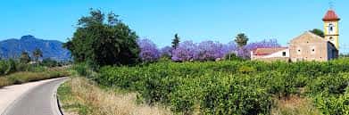 Paisaje rural de La Boquera con ermita y campos de lavanda