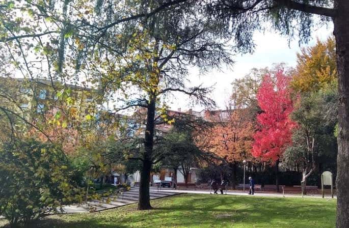 Paisaje otoñal del parque con árboles de colores vibrantes